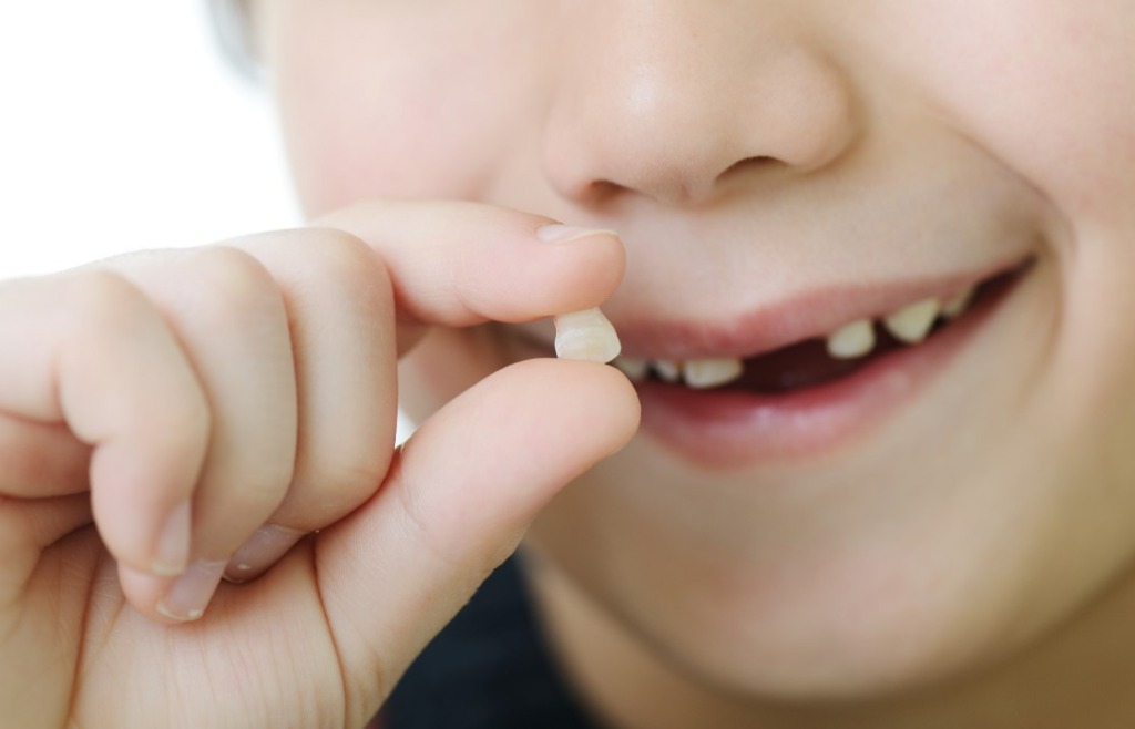 How to wiggle your tooth
